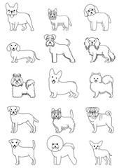 small dog breeds line art set