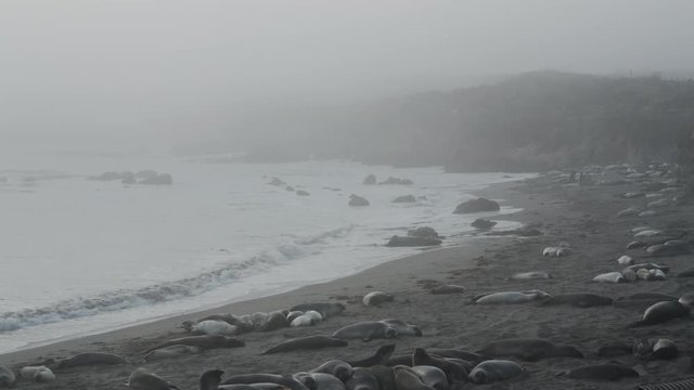 Coastal Cruising 