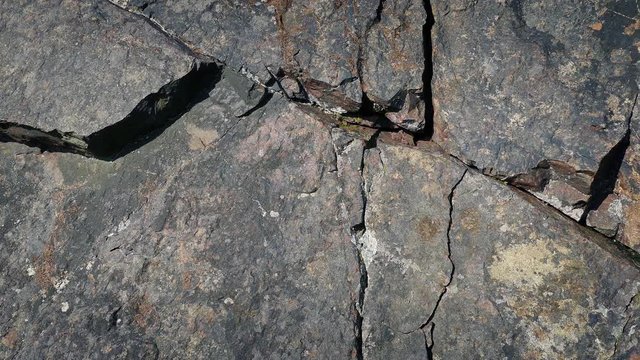 Following A Crack In Rock Surface