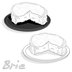 Brie cheese vector  isolated