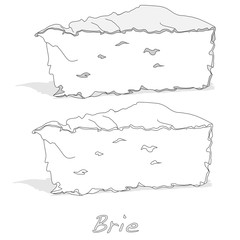 Brie cheese vector  isolated