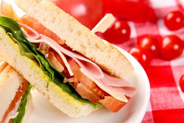 panini sandwitch