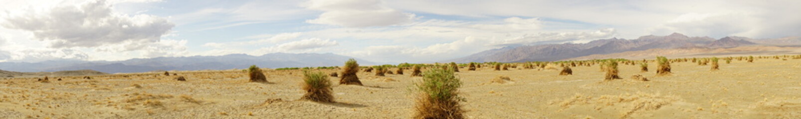 Fototapeta na wymiar Death Valley California vistas in the national Park. Part of the Mojave desert. Devils cornfield panorama