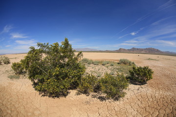 Fototapeta na wymiar Dry Lake bed near Death Valley on Highway 127