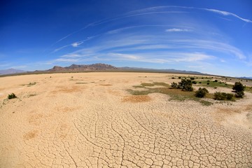 Fototapeta na wymiar Dry Lake bed in the Mojave desert with creosote plant in bloom