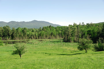 Obraz premium spring mountain, valley, river in green color