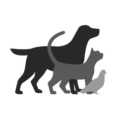 Drawing of pets monochrome illustration.