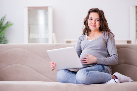 Pregnant woman working on laptop sitting on sofa