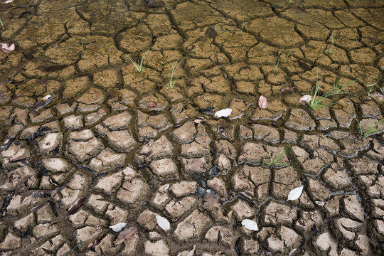 Ground waiting for water, Drought concept.