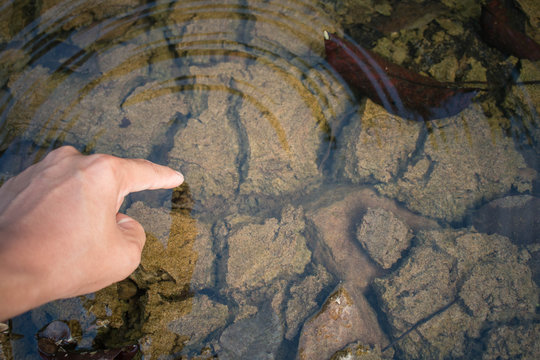 Water get rid of grought, Drought concept.