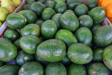 Organic big green avocado for sale at city market
