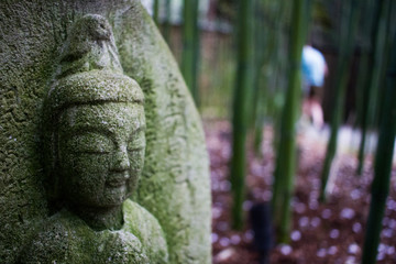 Buddha in the Garden