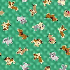 Fototapeta premium 可愛い犬