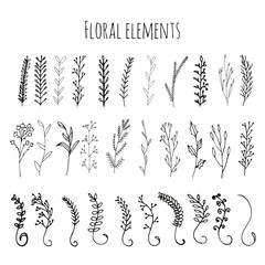 Collection of hand drawn vector florals and branches with leaves, flowers, berries. Modern sketch collection. Decorative elements for design