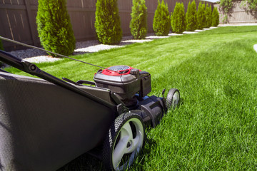 Lawn mower in the garden on green grass