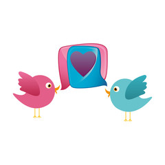colorful couple cartoon bird animal with dialog box heart icon vector illustration