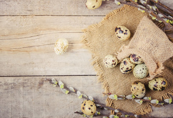 quail eggs on a beautiful spring background. Selective focus.  