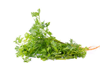Coriander isolated on white background