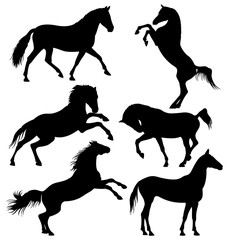 Dark wild horse, running horses vector silhouettes isolated on white background.