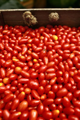 Fresh red tomatoes