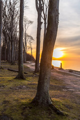 Gespesterwald Nienhagen