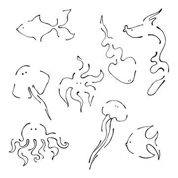 Set of vector black and white illustration of sea animals. fish, octopus, devilfish, poulpe, jellyfish, medusa, starfish isolated on the white background. Hand drawn graphic illustration. Line drawing