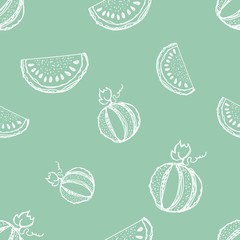 Seamless vector pattern. Hand drawn fruits illustration of watermelon Line drawing. Print for wallpaper, background, surface, fabric, decor