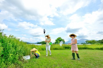 緑の高原で遊ぶファミリー