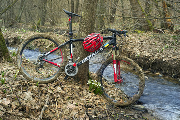 Racing carbon MTB and snowdrops