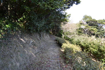 山道