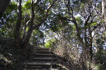山道