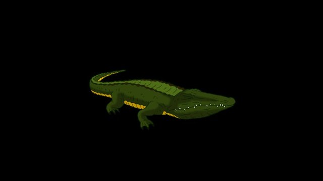 Crocodile Alligator Open his Mouth. Animated Motion Graphic with Alpha Channel.