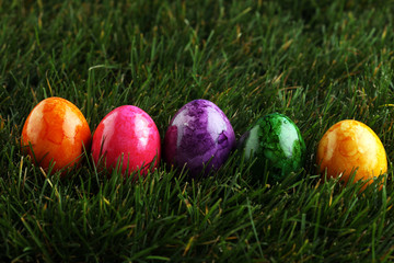 Row of Easter eggs in Fresh Green Grass