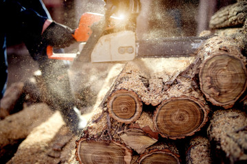 Cutting wood with chainsaw at backyard, lumberjack work profession.