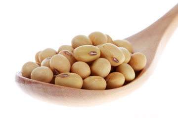 soybean