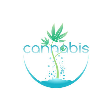 Cannabis emblem, vector illustration