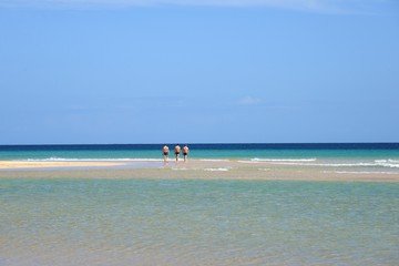 Obraz premium Summer background. Summer paradise beach.