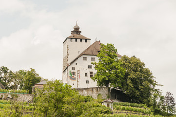 Werdenberg, Dorf, Buchs, Stadt, Schloss, Weinberg, Altstadt, Altstadth&auml;user, Fr&uuml;hling, Sommer, Rheintal,  Berge, Spazierweg, Schweiz