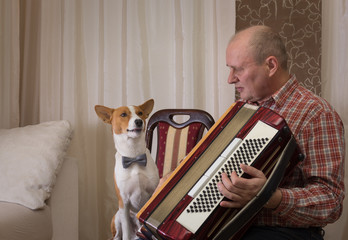 Young basenji dog and mature musician with accordion prepare to perform learning new song