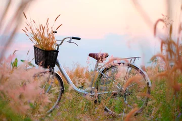 Tuinposter Mooi landschapsbeeld met fiets bij zonsondergang. Fietsenstalling bij tuin. Zoete en vintage achtergrond. Vintage fiets © krumanop