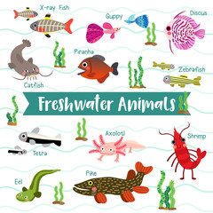 Freshwater Animals cartoon on white background with animal name, Vector illustration.