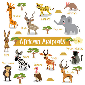 African Animals cartoon on white background with animal name, Vector  illustration. Set 2. Stock Vector | Adobe Stock