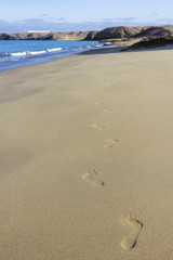 Fototapeta na wymiar walk on the deserted beach