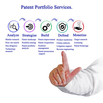 Patent Portfolio Services