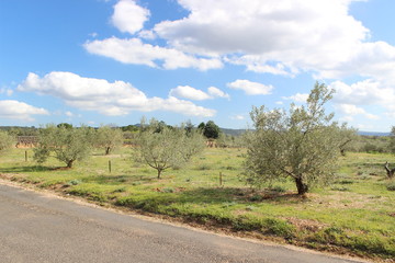 Balade dans les cévennes, languedoc roussillon, occitan, hérault