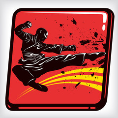 Dynamic icon of martial art karate