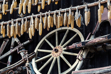 Landwirtschaftliche Dekoration (zur individuellen Verwendung)