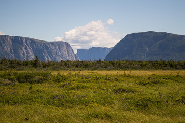 Meadow in Front of Western Brook Pond in Gros Morne National Park in Newfoundland, Canada