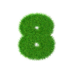 Number made of grass 8 isolated on white, 3d illustration.