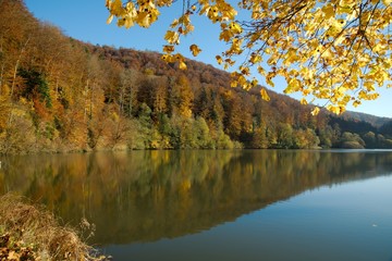 Lac de Lucelle (Lucelle Lake) and the forest with reflection in autumn. Panoramic view